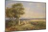 The Skylark, 1848 (Oil on Canvas)-David Cox-Mounted Giclee Print