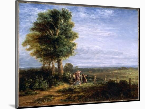 The Skylark, 1849 (Oil on Canvas)-David Cox-Mounted Giclee Print