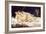 The Sleepers (Le Sommei)-Gustave Courbet-Framed Giclee Print