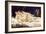 The Sleepers (Le Sommei)-Gustave Courbet-Framed Giclee Print