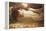 The Sleeping Beauty-Thomas Ralph Spence-Framed Premier Image Canvas