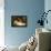 The Sleeping Beauty-Richard Eisermann-Framed Premier Image Canvas displayed on a wall