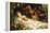 The Sleeping Beauty-Richard Eisermann-Framed Premier Image Canvas