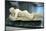 The Sleeping Hermaphroditus. The form of the statue is based on portrayals of Venus-Werner Forman-Mounted Giclee Print