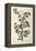 The Sloe Tree, Plate 494 from 'The Curious Herbal', Published 1782-Elizabeth Blackwell-Framed Premier Image Canvas