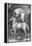 'The Small Horse', 1505, (1906)-Albrecht Durer-Framed Premier Image Canvas