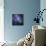 The Small Magellanic Cloud-Stocktrek Images-Mounted Photographic Print displayed on a wall