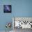 The Small Magellanic Cloud-Stocktrek Images-Mounted Photographic Print displayed on a wall