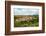 The Small Unspoilt Town of Torres Del Rio, Navarra, Spain, Europe-Martin Child-Framed Photographic Print