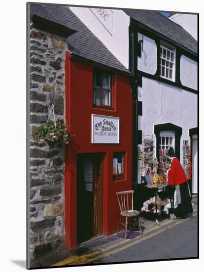 The Smallest House in Britain, on the Quayside at Conwy-Nigel Blythe-Mounted Photographic Print