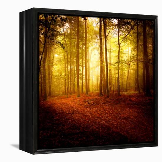 The Smell of Autumn-Philippe Sainte-Laudy-Framed Premier Image Canvas