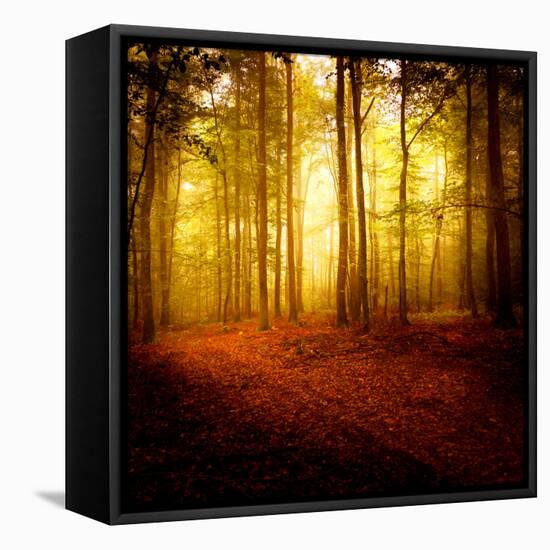 The Smell of Autumn-Philippe Sainte-Laudy-Framed Premier Image Canvas