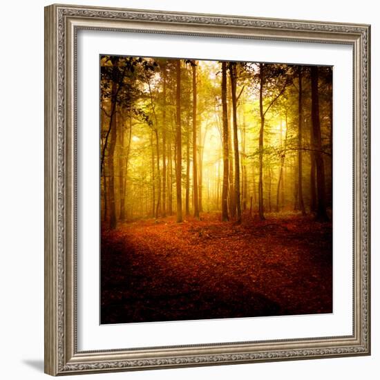 The Smell of Autumn-Philippe Sainte-Laudy-Framed Photographic Print