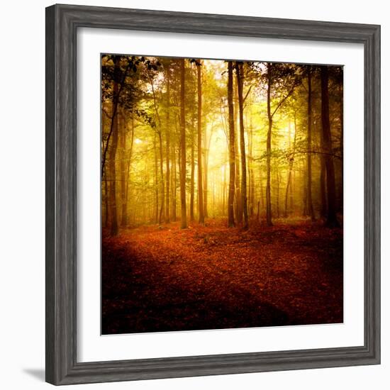 The Smell of Autumn-Philippe Sainte-Laudy-Framed Photographic Print