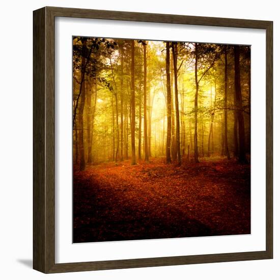 The Smell of Autumn-Philippe Sainte-Laudy-Framed Photographic Print