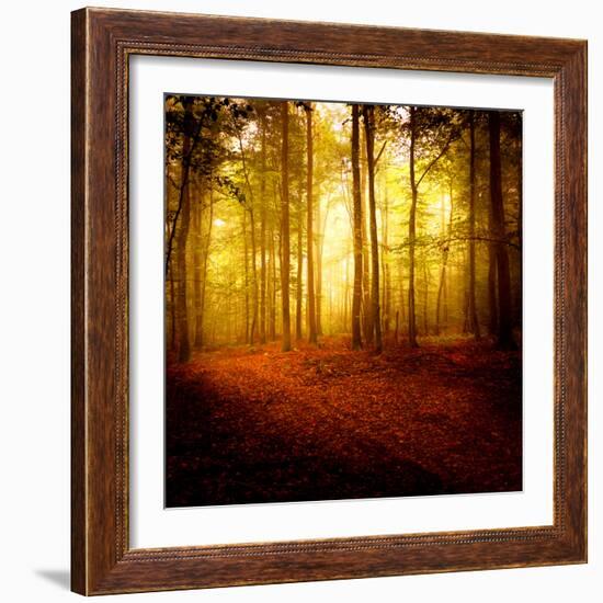 The Smell of Autumn-Philippe Sainte-Laudy-Framed Photographic Print