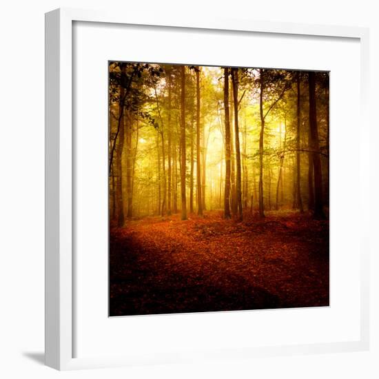 The Smell of Autumn-Philippe Sainte-Laudy-Framed Photographic Print