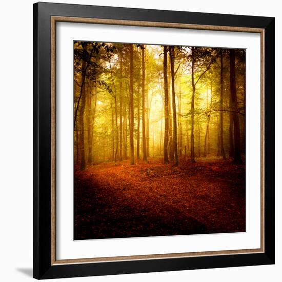 The Smell of Autumn-Philippe Sainte-Laudy-Framed Photographic Print