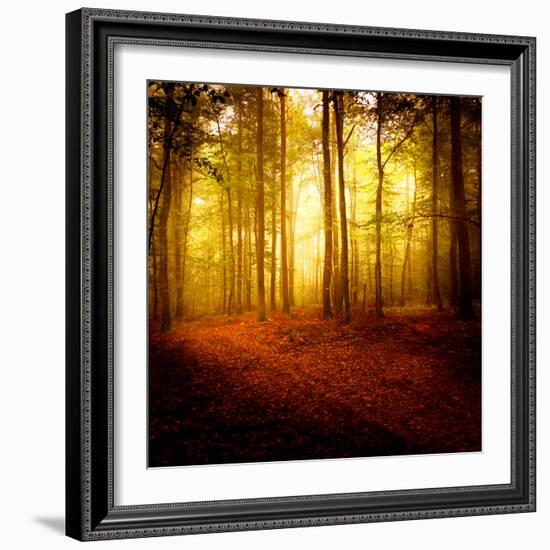 The Smell of Autumn-Philippe Sainte-Laudy-Framed Photographic Print