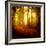 The Smell of Autumn-Philippe Sainte-Laudy-Framed Photographic Print