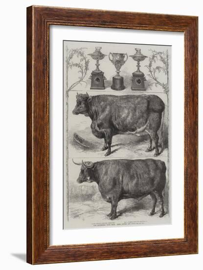 The Smithfield Club Cattle Show, Prize Cattle and Cups-Harrison William Weir-Framed Giclee Print