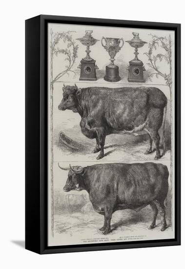 The Smithfield Club Cattle Show, Prize Cattle and Cups-Harrison William Weir-Framed Premier Image Canvas