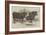 The Smithfield Club Prize Cattle Show-Harrison William Weir-Framed Giclee Print