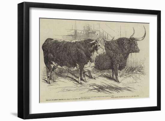 The Smithfield Club Prize Cattle Show-Harrison William Weir-Framed Giclee Print