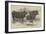 The Smithfield Club Prize Cattle Show-Harrison William Weir-Framed Giclee Print