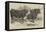 The Smithfield Club Prize Cattle Show-Harrison William Weir-Framed Premier Image Canvas