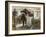 The Smugglers' News-Edgar Bundy-Framed Giclee Print