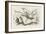 The Snap-Dragon-Fly-John Tenniel-Framed Premium Giclee Print