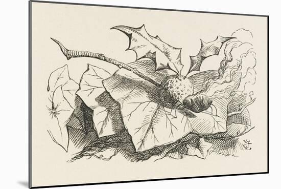 The Snap-Dragon-Fly-John Tenniel-Mounted Art Print