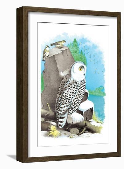 The Snow Owl-Theodore Jasper-Framed Art Print