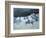 The Snowman-Andrew Macara-Framed Giclee Print