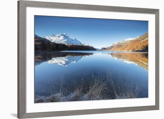 The snowy peaks and colorful woods are reflected in Lake Champfer, St. Moritz, Canton of Graubunden-Roberto Moiola-Framed Photographic Print