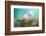 The softest spring ll-Heidi Westum-Framed Photographic Print