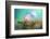 The softest spring ll-Heidi Westum-Framed Photographic Print