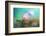 The softest spring ll-Heidi Westum-Framed Photographic Print