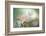 The softest spring-Heidi Westum-Framed Photographic Print