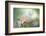 The softest spring-Heidi Westum-Framed Photographic Print