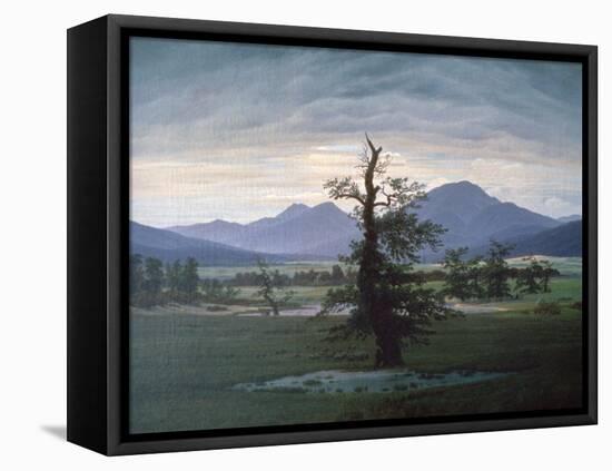 The Solitary Tree, 1823-Caspar David Friedrich-Framed Premier Image Canvas