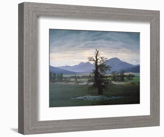 The Solitary Tree, 1823-Caspar David Friedrich-Framed Giclee Print