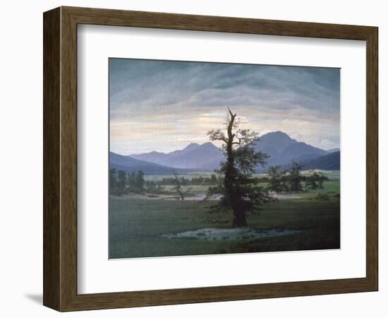 The Solitary Tree, 1823-Caspar David Friedrich-Framed Giclee Print