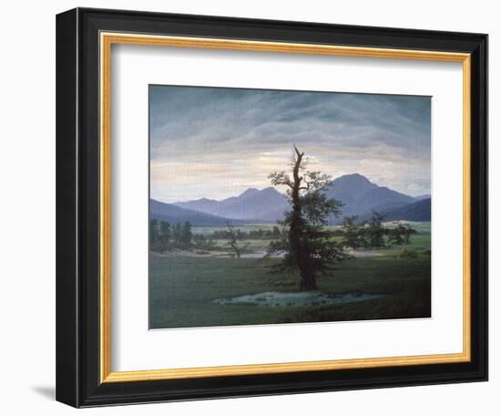 The Solitary Tree, 1823-Caspar David Friedrich-Framed Giclee Print