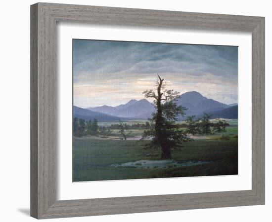 The Solitary Tree, 1823-Caspar David Friedrich-Framed Giclee Print