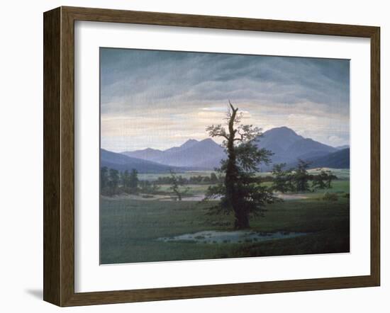 The Solitary Tree, 1823-Caspar David Friedrich-Framed Giclee Print