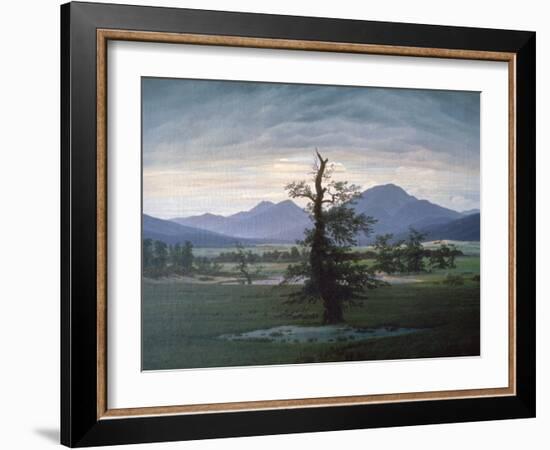 The Solitary Tree, 1823-Caspar David Friedrich-Framed Giclee Print