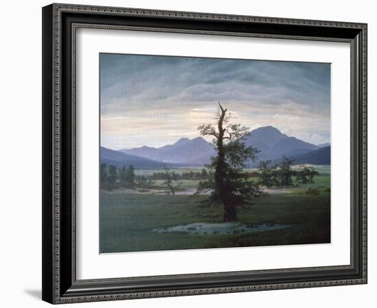 The Solitary Tree, 1823-Caspar David Friedrich-Framed Giclee Print