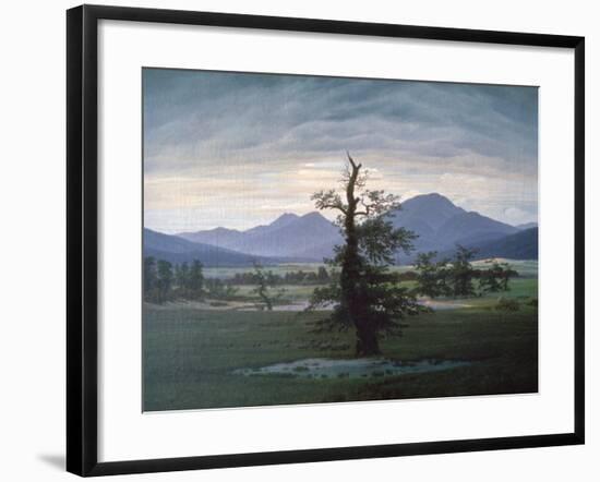 The Solitary Tree, 1823-Caspar David Friedrich-Framed Giclee Print